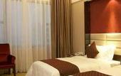 Туры в отель Shenzhen Pingshan high-speed railway station Romanjoy International Hotel