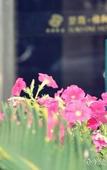 Туры в отель Seashine Hotel (PalaceXiamen Zhongshan Road Huadu)