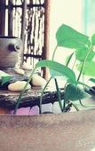 Туры в отель Seashine Hotel (PalaceXiamen Zhongshan Road Huadu)