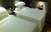 Туры в отель Blue Peninsula Hotel