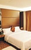 Туры в отель Shenzhen Futian Huaqiang South Feiyuan Hotel