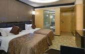 Туры в отель Tegaobusinesshotel