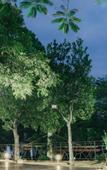 Туры в отель Silverworld Hotels & Resorts