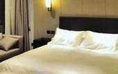 Туры в отель Emei Xueya Hotel