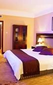 Туры в отель Watson Hot Spring Hotel (Emeishan High-speed Railway Station)