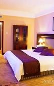 Туры в отель Watson Hot Spring Hotel (Emeishan High-speed Railway Station)