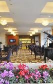 Туры в отель Watson Hot Spring Hotel (Emeishan High-speed Railway Station)