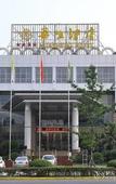 Туры в отель Watson Hot Spring Hotel (Emeishan High-speed Railway Station)