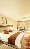 Туры в отель Watson Hot Spring Hotel (Emeishan High-speed Railway Station)