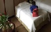 Туры в отель Nanning Jinshuiwan International Hotel ( Nanhu Park Macun Subway Station)