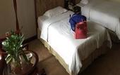 Туры в отель Nanning Jinshuiwan International Hotel ( Nanhu Park Macun Subway Station)