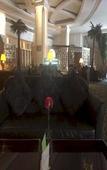 Туры в отель Radow Wanrong Hotel