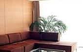 Туры в отель Guangzhou Nansha Pearl River Delta World Trade Center Tower
