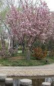Туры в отель Golden Beach Garden View Hotel