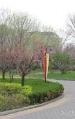 Туры в отель Golden Beach Garden View Hotel