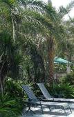 Туры в отель Dongguan Well Garden Hotel
