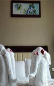 Туры в отель Hairong Hotel