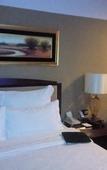 Туры в отель CQ Second Normal University Academic Exchange Center Hotel