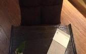 Туры в отель Guilaiqi Boutique Hotel (Chengdu Chunxi Road Xinnanmen Subway Station Branch)