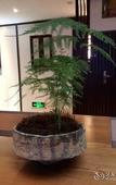 Туры в отель Guilaiqi Boutique Hotel (Chengdu Chunxi Road Xinnanmen Subway Station Branch)