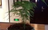 Туры в отель Guilaiqi Boutique Hotel (Chengdu Chunxi Road Xinnanmen Subway Station Branch)