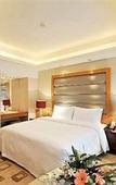Туры в отель Minya Hotel