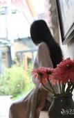 Туры в отель Blossom Hill Inn