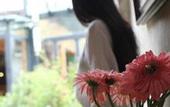 Туры в отель Blossom Hill Inn