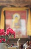 Туры в отель Blossom Hill Inn