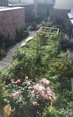 Туры в отель Blossom Hill Inn