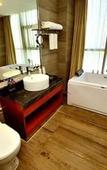 Туры в отель Sylva Hotel