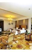 Туры в отель Sylva Hotel