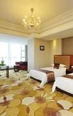 Туры в отель Sylva Hotel