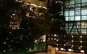 Туры в отель Yun'an Huidu Hotel