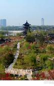 Туры в отель Country Garden Phoenix Hotel