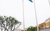 Туры в отель Country Garden Phoenix Hotel