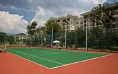 Туры в отель Country Garden Phoenix Hotel