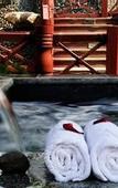 Туры в отель Country Garden Phoenix Hotel