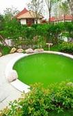 Туры в отель Country Garden Phoenix Hotel