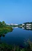 Туры в отель Country Garden Phoenix Hotel