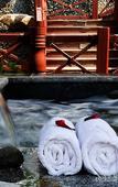 Туры в отель Country Garden Phoenix Hotel