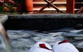 Туры в отель Country Garden Phoenix Hotel