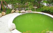 Туры в отель Country Garden Phoenix Hotel