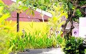 Туры в отель Lavender Villa & Spa