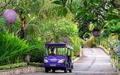 Туры в отель Lavender Villa & Spa