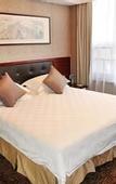 Туры в отель Shandong Hanlin Hotel (Shandong Normal University Qianfoshan Branch)