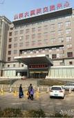 Туры в отель Shandong Hanlin Hotel (Shandong Normal University Qianfoshan Branch)