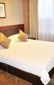 Туры в отель Shandong Hanlin Hotel (Shandong Normal University Qianfoshan Branch)