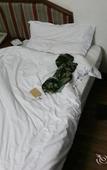 Туры в отель Marshal Palace Hotel