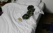 Туры в отель Marshal Palace Hotel
